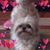 Holly Bond's profile image