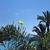 Trista Hurley-Waxali's profile image