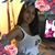 Elliza Rodriguez-Marte's profile image