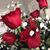 Christine Trent's profile image