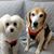 Elaine Koen's profile image
