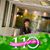 Robin Bearden's profile image