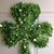Nancy Calderone Halma's profile image