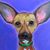 Collin Rhodes's profile image