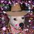 Elaine Matie's profile image