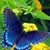Linda Washburn's profile image