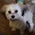 Susan LeDonne's profile image