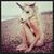 Lisa Marie Rodriguez's profile image