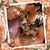 Janine Mongiovi's profile image