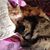 Liz Artus Fallon's profile image