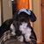 Judy Hindbaugh's profile image