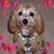 Pittman Mimi Miharu's profile image