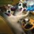 Verne Jewelz's profile image