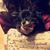 Messiva Amer's profile image