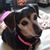 Rhonda L Adler's profile image