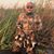Richard Martinez's profile image