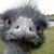 L.a. Clements's profile image