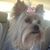 Ronnie Mitchell's profile image