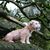 Jerry Kindall's profile image