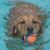 Michael Bende's profile image