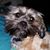 Robert Kelly's profile image