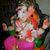 Angel Angel's profile image