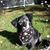 Camille Risko Skibbie's profile image