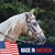 Dawn Collinsworth Herron's profile image