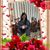 Monica Lai's profile image