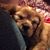 Dee Burney's profile image