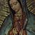 Marco Antonio's profile image