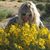 Pam Brock's profile image