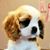 Mia Lawson's profile image