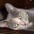 Fowler Marsha's profile image