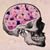 Dulce Maria Pinto Ortiz's profile image