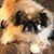 Kimberly Lynne Salyers's profile image
