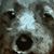 Cindy Hargett's profile image