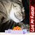 Aria Leitner's profile image