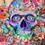 Carolyn Shaw's profile image