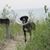 Beth Bertke Meyers's profile image