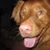 Mimi Kimmel's profile image