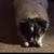 Carrie Talley's profile image