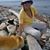 Pam Wylie's profile image
