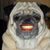 Paul New's profile image