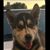 Laura Servillas's profile image