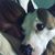 Kelly O'Farrell's profile image