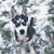 Laura Kalp's profile image