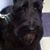 Bob MacAleese's profile image