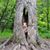 Hendo Hendrickson's profile image