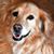 Kit Jagoda's profile image